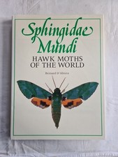 Sphingidae mundi hawk moths - hawk,