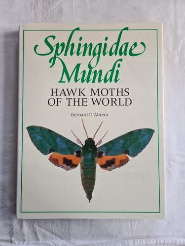 Sphingidae mundi hawk moths - mundi:,