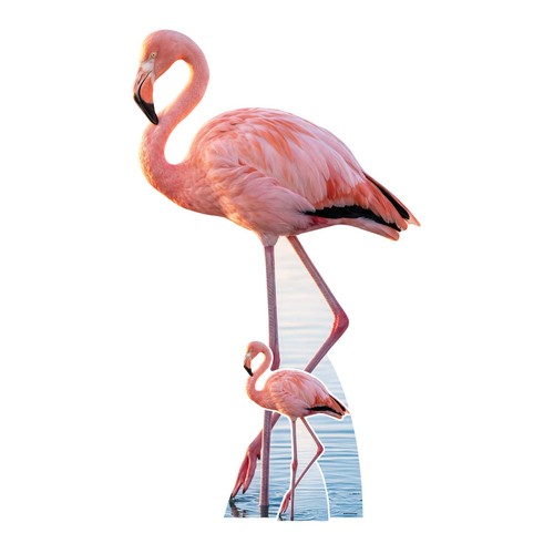 Pink flamingo pappaufsteller - pink,