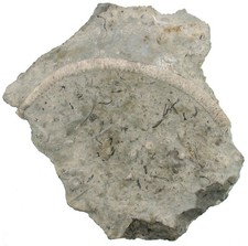 Silur  Platte mit großem