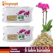 Sphagnum Moisturizing Moss
