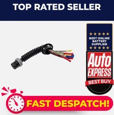 Tür Türe hinten links od