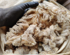 Schafwolle - Rohwolle, naturbelassen, Dünger, Hochbeet | 3,5 - 4 kg