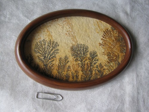 Dendriten echte natursteine - -,