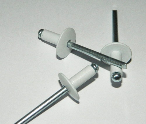 Stück großkopf - 50,