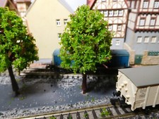 5 maigrüne Laubbäume, 75 mm