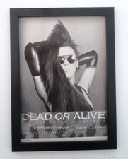 DEAD OR ALIVE*Boom