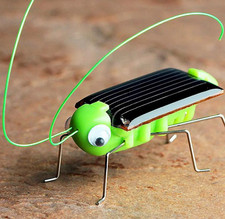 Kinder Spielzeug lustige  Heuschrecke in der Sonne Solarbetriebene
