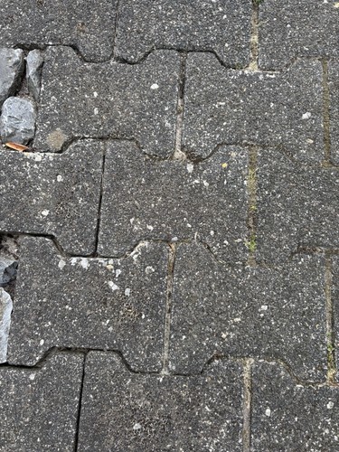 Gebrauchtes oder knochen - gebrauchtes,