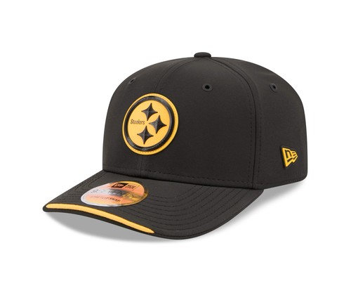 Pittsburgh steelers 2026 - pittsburgh,