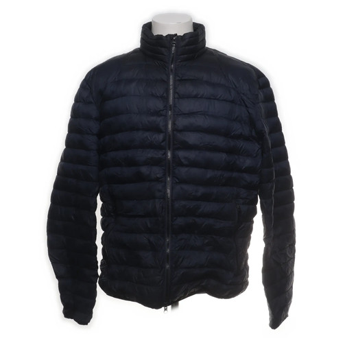 Cinque daunenjacke herren - cinque,, daunenjacke,