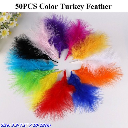 Stck farbe truthahn feder - stck.,