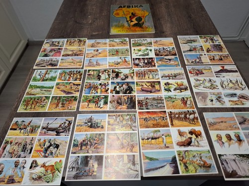1966 sammelbilderalbum afrika - 1966,