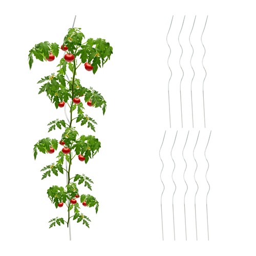 Spiralstäbe tomaten