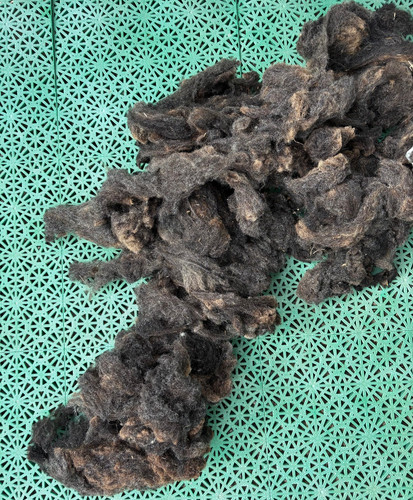 1kg rohwolle schafwolle - 1kg,