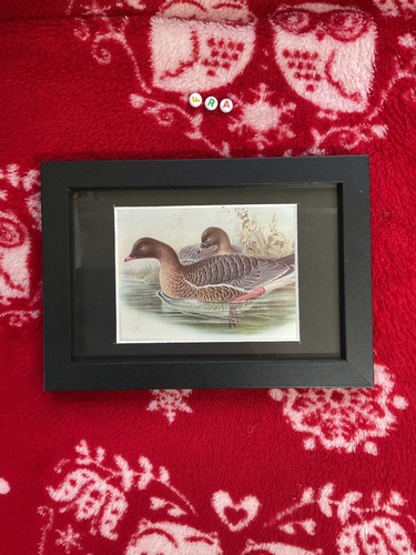 Kunstdruck vintage gerahmt - vintage,