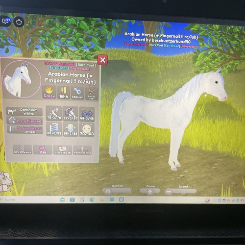 Spiele - pc,