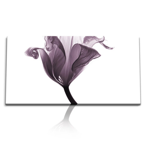 120x80cm kunstdruck bilder - kunstdruck,
