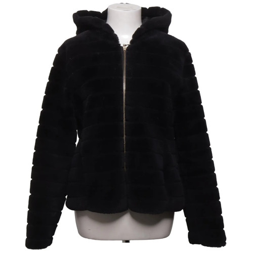 Temps des couleurs jacke - des,