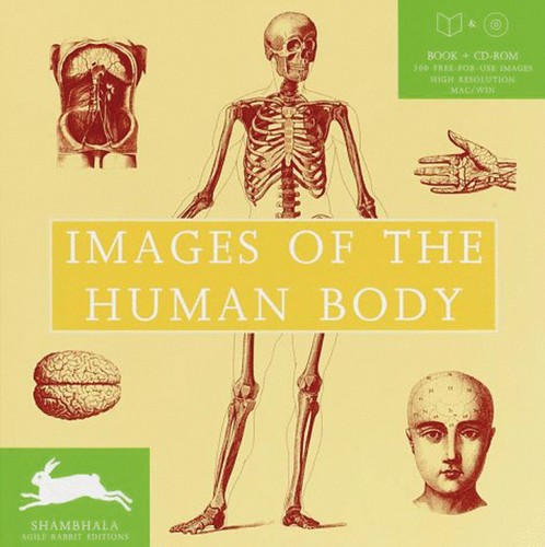 Images the human body - of,