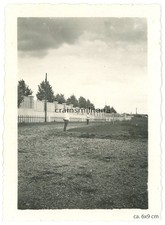 Orig foto friedhof des - foto,