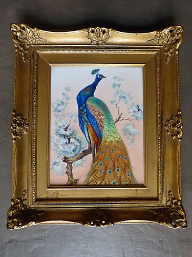 Porzellanbild pfau co - +, h