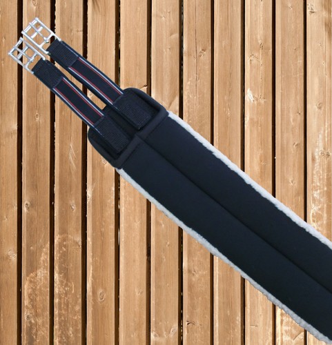 Euroriding sattelgurt neopren - euroriding,