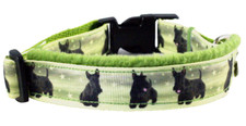 Hundehalsband scotch terrier - scotch,