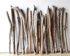 Treibholz Schwemmholz