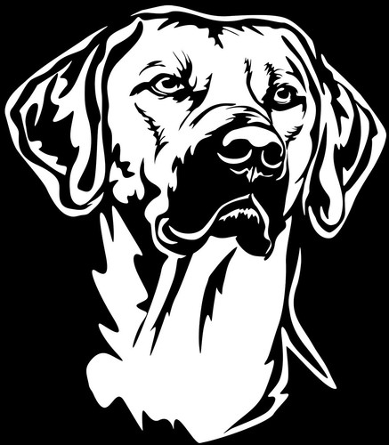 Rhodesian ridgeback aufkleber - rhodesian,
