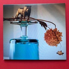 BEIRUT - GALLIPOLI - CD ALBUM