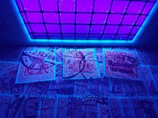 Original Hanau Fluotest