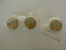 250 Jahre Warsteiner Pin