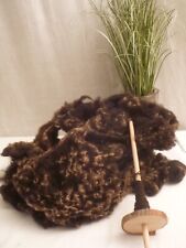 Handspindel mit 100g gewaschener Jakob- Soayschaf Rohwolle   (1)