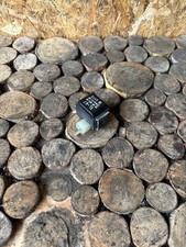 Suzuki GS500 E GM51B 89-00