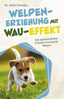 Welpen erziehung mit - welpen-erziehung,