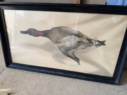 Vintage wildenten bild - vintage,
