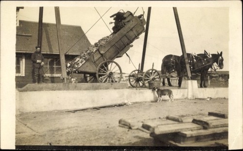 Foto pferdefuhrwerk - foto, ak