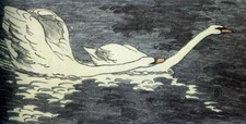 Swans Otto Eckmann 1902 Art