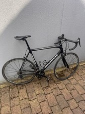 Bergamont Dolce LTD 62 