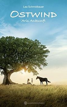 Ostwind aris ankunft von - ostwind,