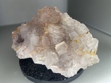 TOP Fluorit / Grube Clara /