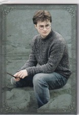 Panini harry potter evolution - harry,