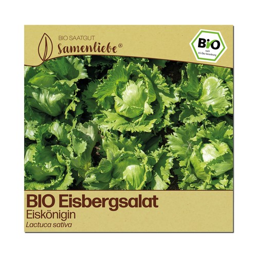 Bio salat samen sorte - samen,