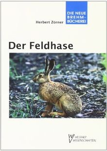 Feldhase lepus europaeus - feldhase:,