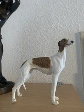 Große seltene Windhund