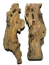 2x Oliven Wurzelholz Holz für