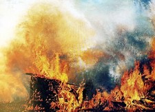 KARIN KNEFFEL Originalgrafik handsigniert Nr. VII/X Feuer, Schülerin von Richter