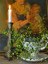 Kleiner Antiker Kerzenleuchter