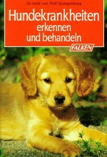 Hundekrankheiten erkennen und